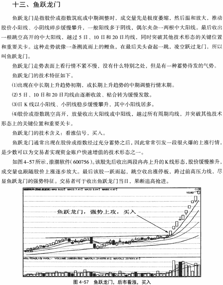 魚躍龍門和旱地拔蔥形態