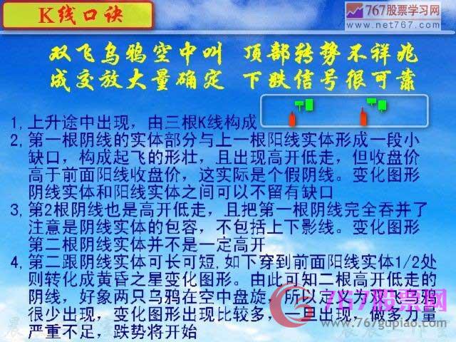 雙飛烏鴉