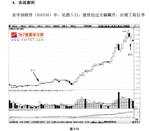 長腿十字星