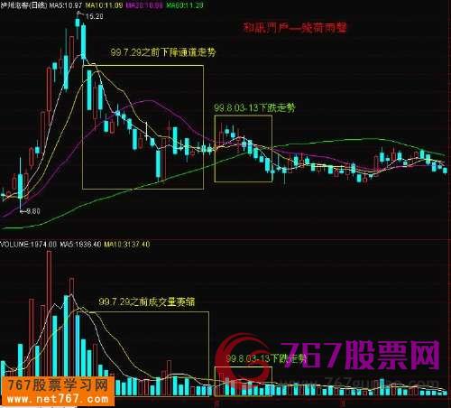 查看更多精彩圖片